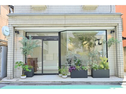 クーシ(Kuusi)の写真