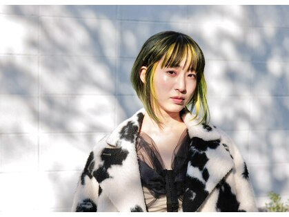 ヤイカ(YAYKA)の写真