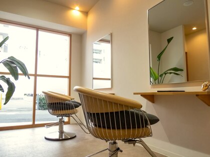 リノ(Lino)の写真