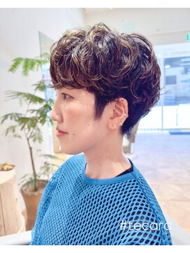 テカラ(tecara) 地毛ハイライトマッシュ