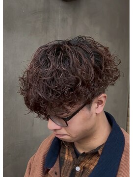 メンズギフト(men's GIFT) プードルパーマ