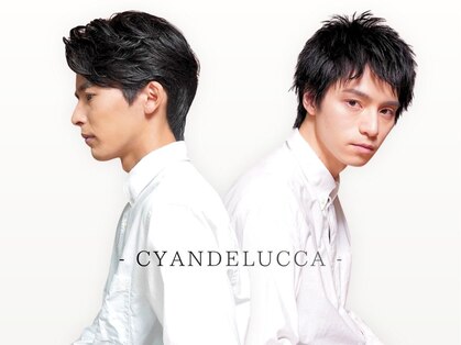 シアンデルカ(CYANDELUCCA)の写真