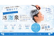 アッシュヘアー(ACHE hair)の雰囲気（小さな泡が毛穴の奥まで入り込みにおいや皮脂をスッキリ洗い流す）