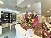 サテンドール ヘアクラブの雰囲気（毎週水曜日に入れ替わるこだわりのお花*[平塚/メテオカラー]）