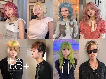 ハコ プラス(HACO+)の写真