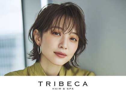 トライベッカ 新柏店(TRIBECA Hair&Spa)の写真
