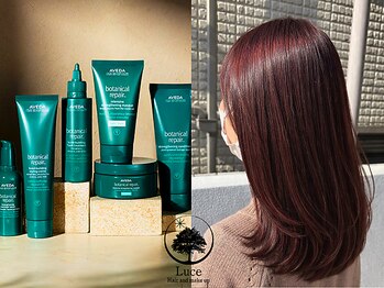 ルーチェ(Luce)の写真/《オーガニックトリートメントで叶える潤いと艶感☆》大人女性のための上質ケアをご提供◎AVEDAヘアサロン