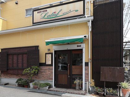 ラティーフ(Latief)の写真