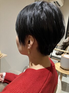 本と南風 guest design