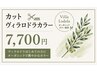 ☆新規or1年ぶり平日限定 カット+ヴィラロドラカラー(リタッチ白髪染め)