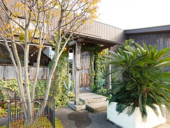 ロカスの写真/経験豊富なベテランスタイリストが在籍♪髪質やクセを見極めて、あなたの綺麗を全力でお手伝い致します。