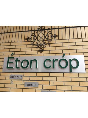 イートンクロップ(Eton crop)