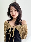 顔周りレイヤーロング美髪韓国ヘアおくれ毛_F20343