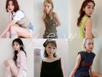 ユー(yew)の写真