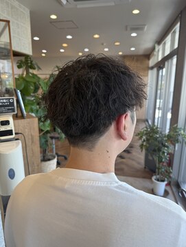 シーバイシオン(Sea by sion) ツイスパ