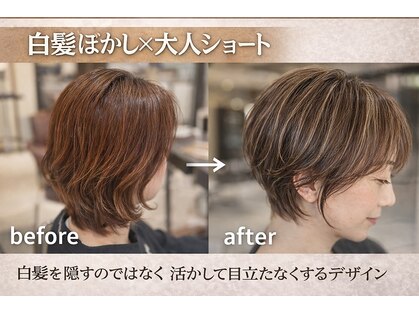 スガミ(SUGAMI)の写真