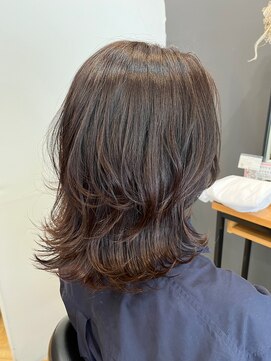 アルター(aL ter) ミディアムレイヤー