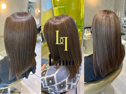 リノ(Lino)の写真