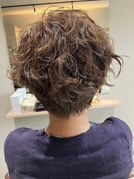 本と南風 guest design