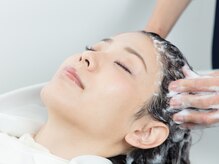 リブカラー(Lib color)