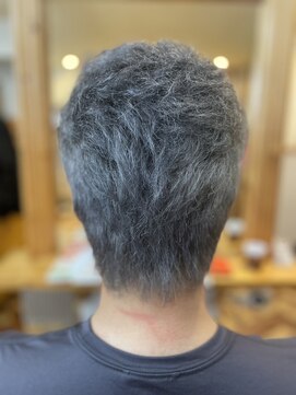 ルームヘアー(ROOM HAIR) シルバーカラー