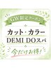 【GW限定】カット+カラー+DEMI DOスパ ￥13000→￥9900