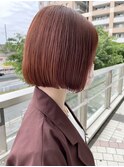 アプリコットオレンジ【mayuka】