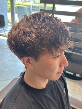 ノイセル(Noisyle) ハイトーンシャドウパーママッシュ