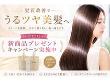 ヘアーエボリューション