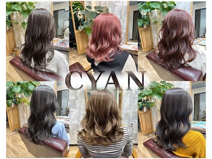 シアン(CYAN)の写真