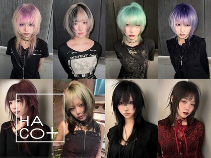 ハコ プラス(HACO+)の写真