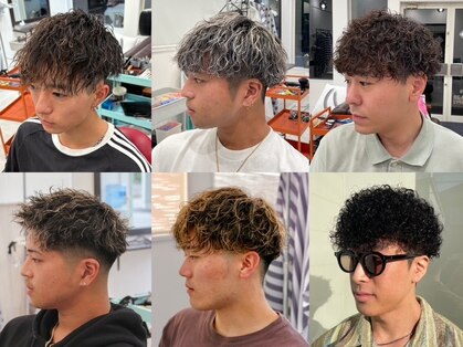 キューカンバー(CUCUMBER)の写真