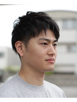 ルートヴィッヒ(Ludwig) フェザーショート