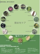 【白髪染めは取り扱っておりません】本物の脱白髪染め。一人ひとりの白髪の割合に合わせて希望の色味が叶う