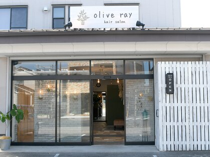オリーブレイ(olive ray)の写真