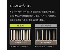 【オイルカラーが大人気の理由】イノアなら白髪染めにも対応可♪