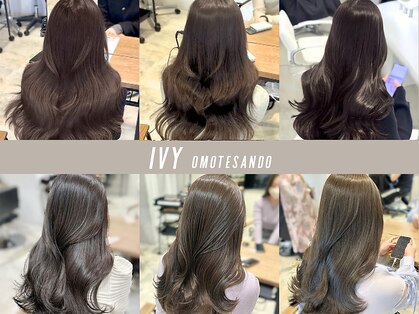 アイヴィ 表参道(IVY)の写真