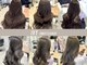 アイヴィ 表参道(IVY)の写真