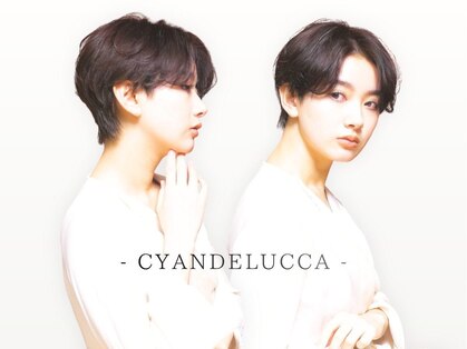 シアンデルカ(CYANDELUCCA)の写真