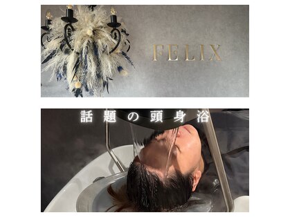フェリックス(FELIX)の写真