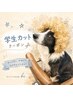 学生カット ¥3500