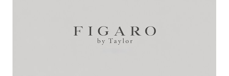 フィガロ バイ テイラー(FIGARO by Taylor)のサロンヘッダー