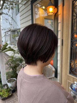 チョコレート(chocolate) ショートヘア