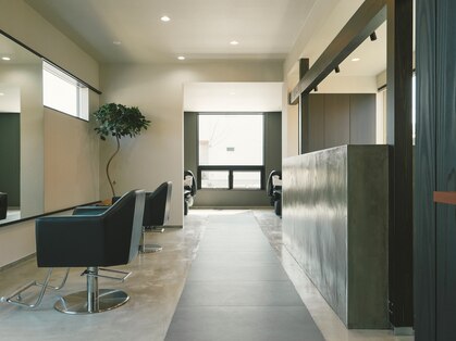 ヨハク(YOHAKU)の写真