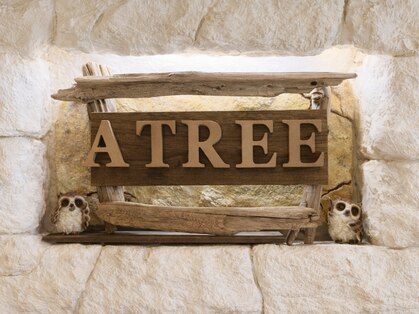 アツリー(A TREE)の写真