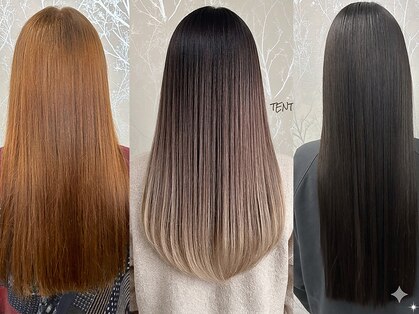 テントウムシヘアー(TENTOUMUSHI HAIR)の写真