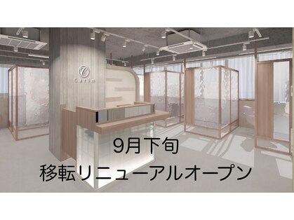 カリン (carin)の写真