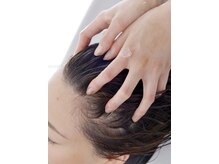 シャンプー 本店(SHAMPOO)