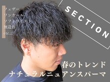 セクション(SECTION)