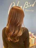 ブルーバード(Blue Bird)&nbsp;艶髪、韓国風ロング【岡山駅前/駐車場有/エイジング毛◎】